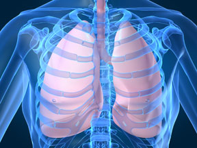 Fighting Fungal Lung Infections with Innovative Inhaled Technology